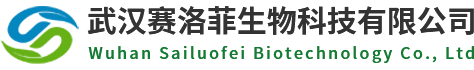 武汉赛洛菲生物官网_酶联免疫试剂盒_白介素IL-6 ELISA试剂盒_ELISA检测试剂盒